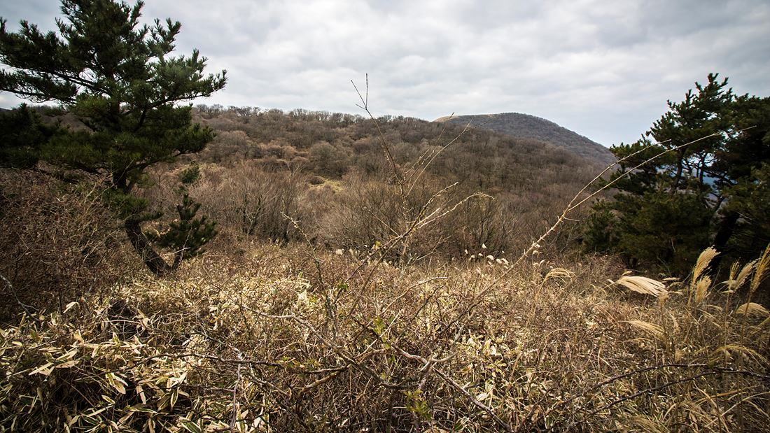 201901-족은노꼬메_08.jpg