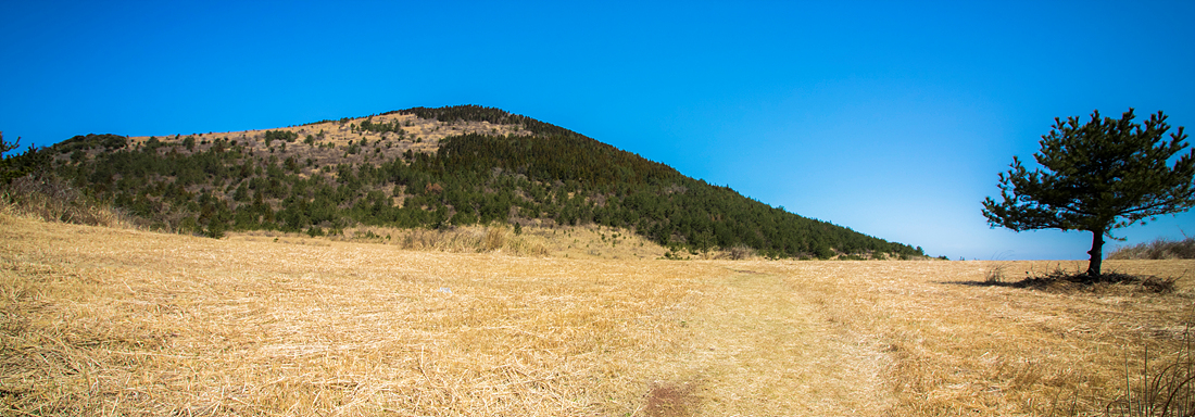 20190324-01.jpg
